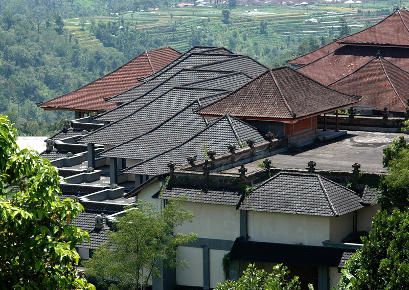 the past, residential district, travel destinations, plant, travel, traditional, aerial, culture, nature, building, temple, built structure, building exterior