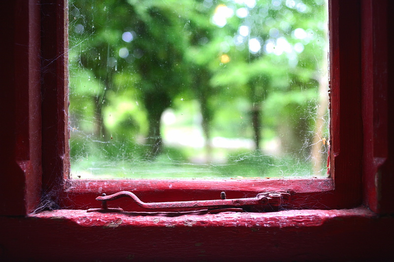 structure, window sill, glass - material, indoors, agoraphobia, window, trapped, dark, red, tree, inside, aged, trees, plant, cobwebs, house, home, selective