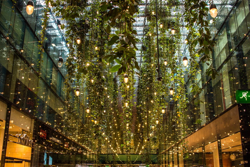 tree, night, illuminate, dangling light, retail mall, lobby, office space, illuminated, interior design, city, indoor, growth, low angle view, built structure