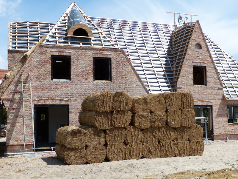 4K, old, built structure, cloud - sky, housebuilding, outdoors, sunlight, reed, building, nature, roof, friesland, residential district, religion, construction craft