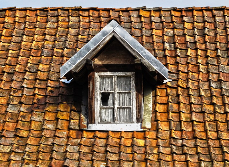 residential district, roof tile, nature, structure, old building, architecture, roofing, texture, wooden windows, building exterior, housetop, tile roof