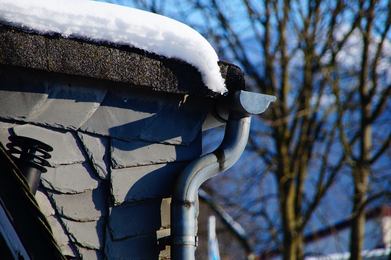 plant, representation, sky, no people, frozen, protection, nature, built structure, gutter, focus on foreground, warm clothing, roof, cold, low angle view