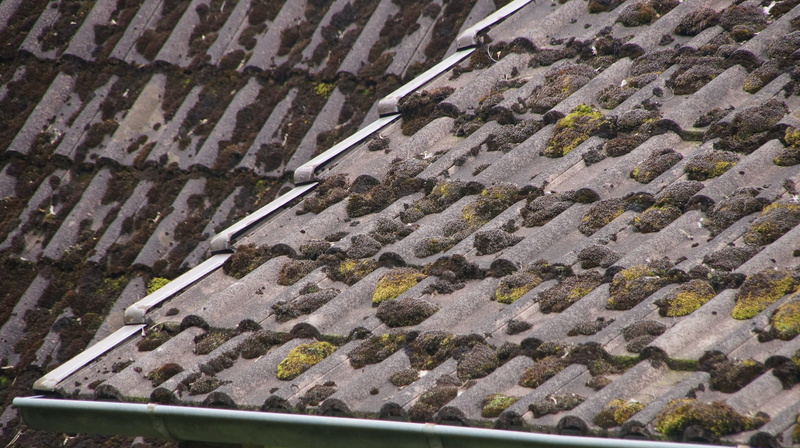 roofers, weathered, leaking, pattern, craft, slate roof, wet, house, dam, moss, forward, weather, insulation, damaged, in a row, nature, thermal insulation