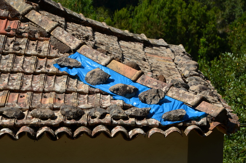 animals in the wild, roofs, chimney, outdoors, stone wall, nature, brick, perching, day, animal, building, wood - material, roof tile, architecture, vertebrate
