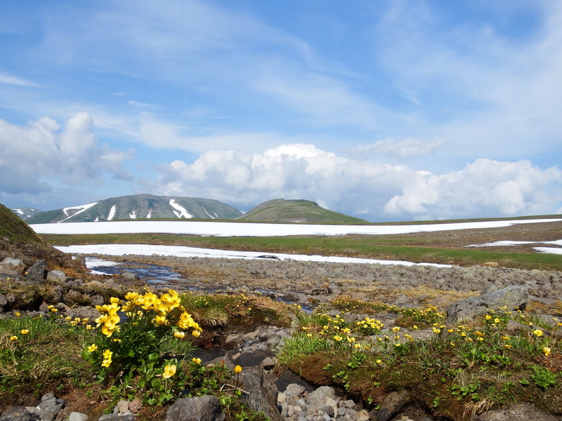 landscape, beauty in nature, outdoors, mountain pass, flowers, scenics - nature, volcano, travel destinations, river, snowflakes, open space, water, tourism