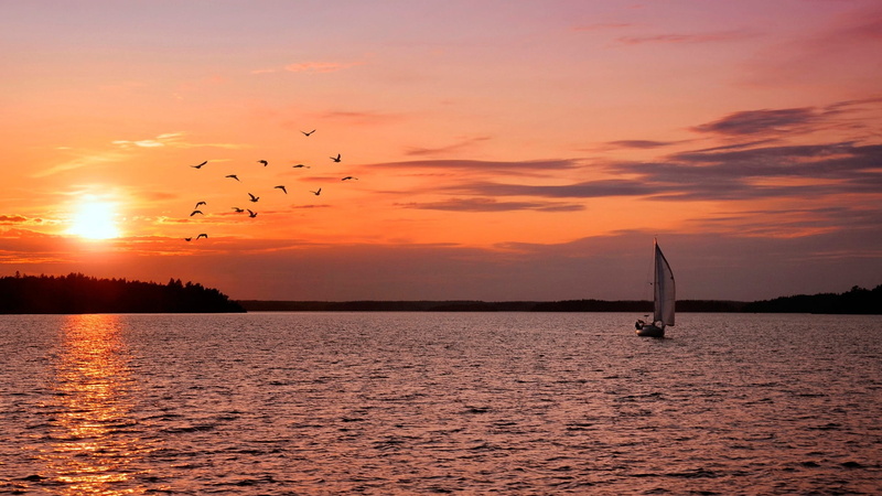 outdoors, tranquil Scene, no people, 1080P, surface of the water, sailing, large group of animals, silence, freedom, animal themes, flying, travel, blue