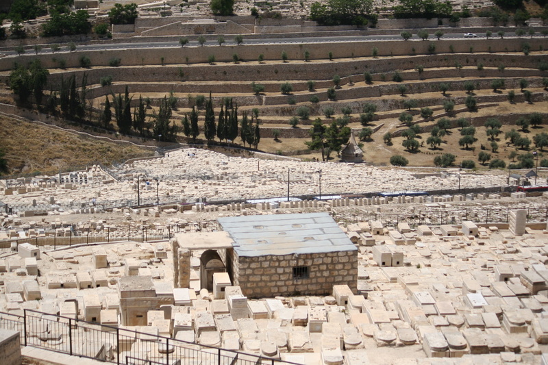 nature, memorial, built structure, high angle view, mount of olives, 1080P, holy, famous Place, no people, cultures, ancient, travel destinations, tourism