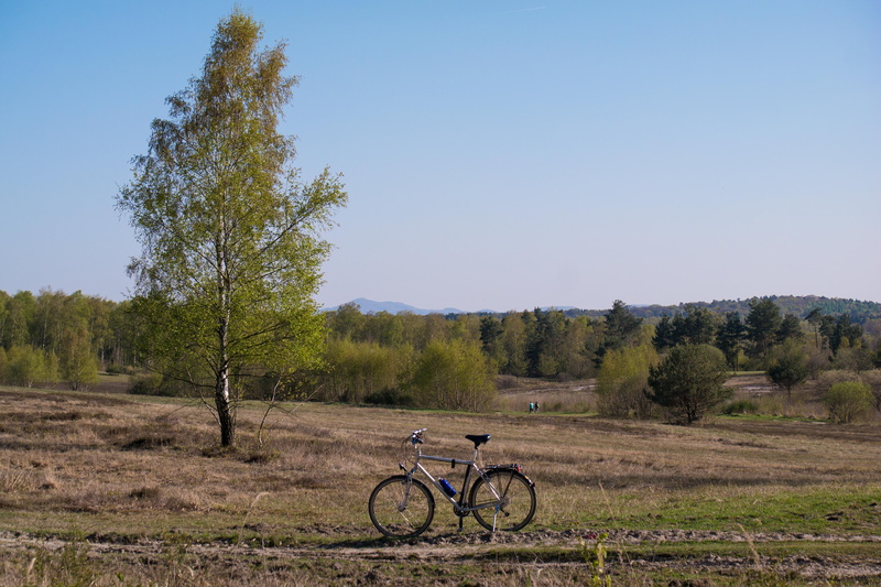 no people, tour, cycling, bike ride, mode of transportation, hiking, plant, land, mount of olives, wanderer, road, 5K, scenics - nature, more, sky, riding