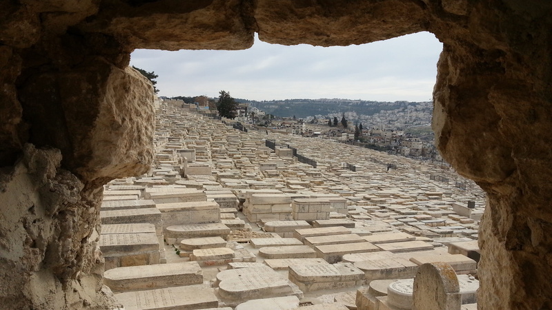 ruined, nature, sky, history, travel destinations, amphitheater, outdoors, ancient history, arch, archaeology, day, city, architectural column, solid, the mount of olives