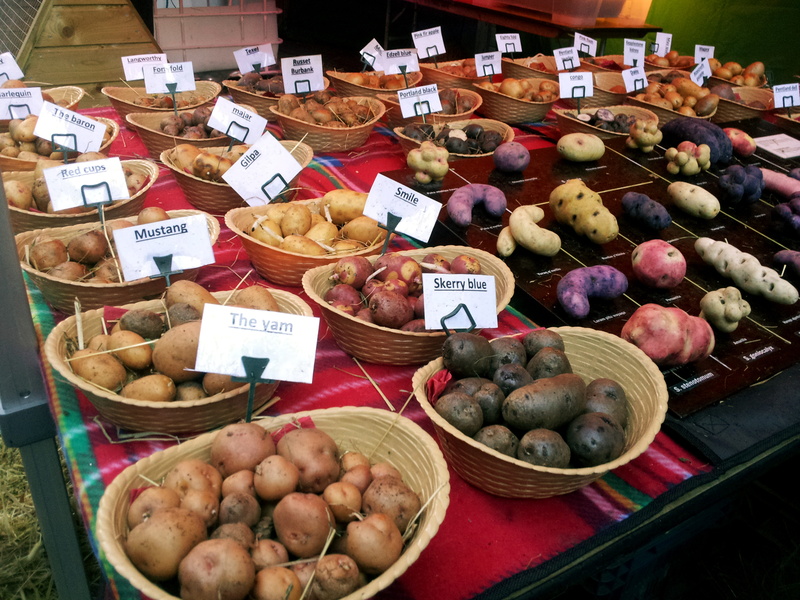 abundance, organic, container, images, for sale, healthy food, types, retail display, large group of objects, irish, 8K, high angle view, photos, food and drink