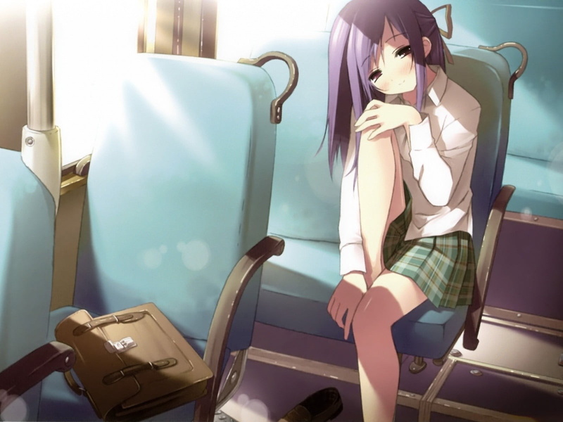 anime, representation, travel, car, young Adult, haired, adult, sun, office, business Person, purple, businesswoman, vehicle seat, sitting, real people