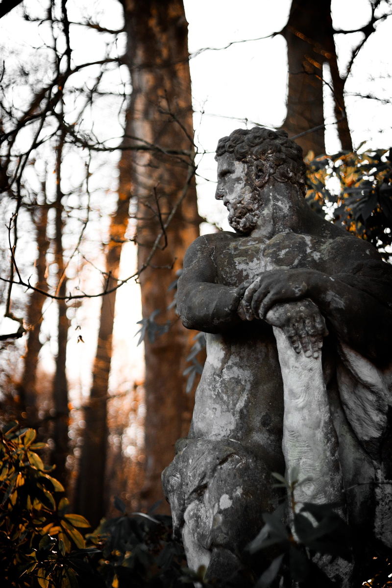 outdoors, art and craft, still, dramatic, art, craft, close-up, statue, low angle view, broken, male likeness, nature, brasschaat, belgië, person, focus on foreground