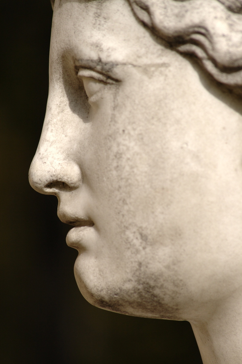 girl, human face, stone, eyes, adult, human head, hair, ancient, art and craft, profile view, classical style, people, craft, arkhangelsk, black background