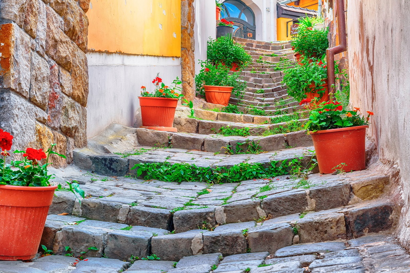 plant, outdoors, well, day, no people, 5K, stair, monument, szentendre, built structure, brick wall, old, building, wall, flower, flower pot, wall - building feature