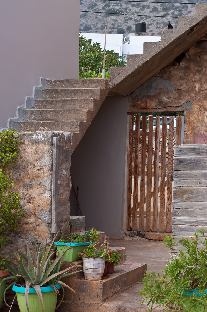 plant, steps and staircases, wall - building feature, garden, stairs, wall, sunlight, houseplant, well, nature, front yard, flower pot, door, staircase