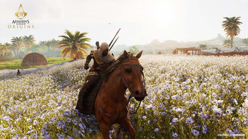 animal themes, livestock, herbivorous, Xbox, domestic animals, sky, field, palm tree, horse, Xbox One, plant, land, growth, tree, pets, mammal, 1080P