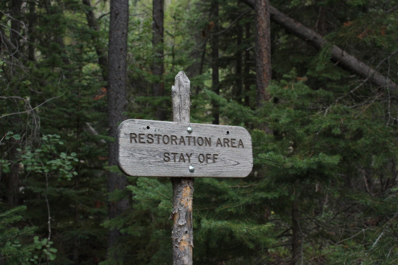 nature, sign, tree trunk, western script, trunk, climate, growth, colorado, wooden sign, signage, road, guidance, tree, plant, stay off, area, woodland