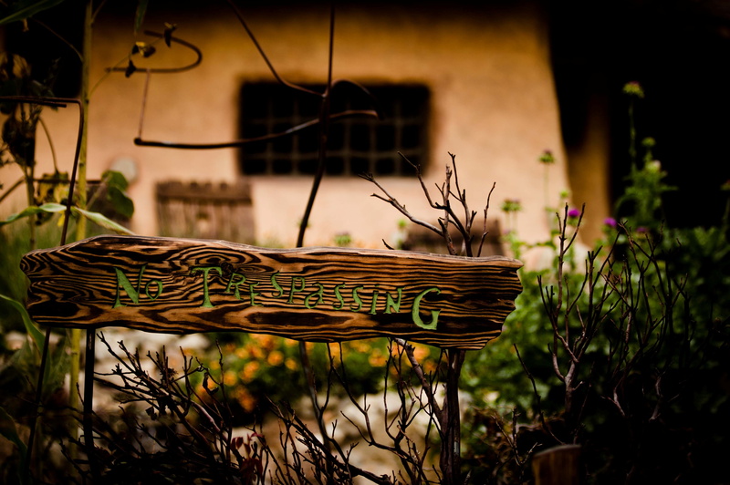 widescreen, background, greens, flowers, fullscreen, no trespassing, s, different, plate, wooden, branches, blur, 4K, full screen