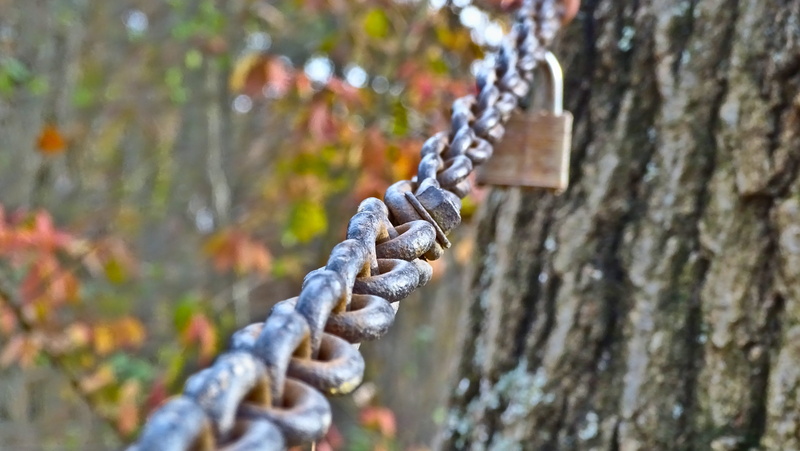 close-up, connection, strength, focus on foreground, blurry, 4K, trunk, outdoors, land, hanging, gate, selective focus, chain, fall, metal, tree, wood - material