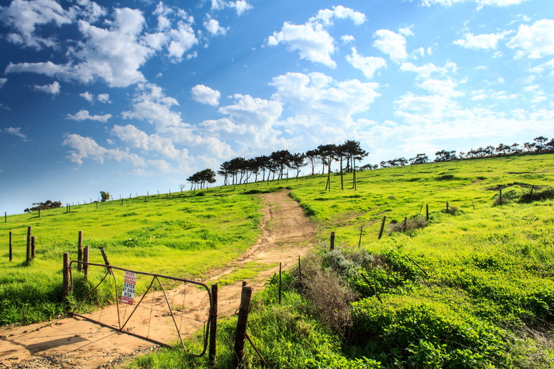 no people, agriculture, country, tranquility, paddock, fence, boundary, trees, tree, scenics - nature, meadow, no trespass, white, countryside, landscape