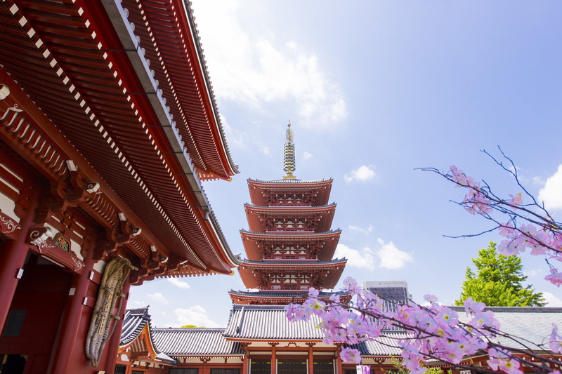 Sensō-ji, Temple, Tokyo, 1080P, Senso-Ji, Temples, Japan, Blossom, Spring