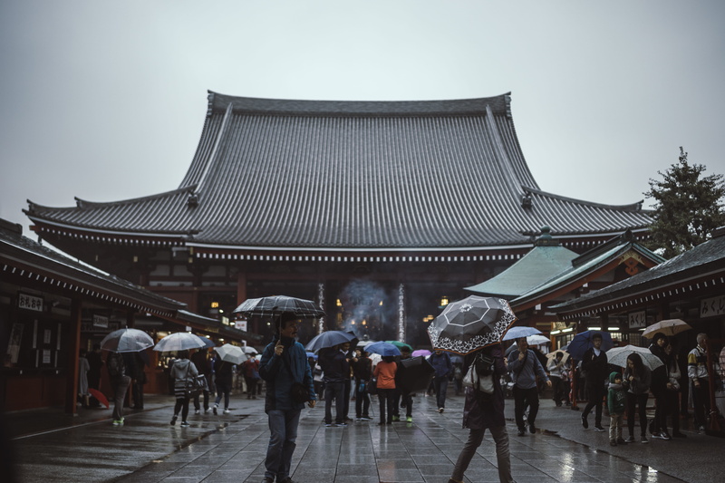 real people, visit, shirt, large group of people, lifestyles, sensoji temple, man, adult, walking, 5K, built structure, pagoda, day, wearing, shrine, umbrella