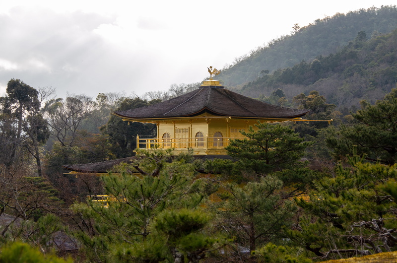 plant, nature, landscape, no people, tree, building, day, religion, built structure, kinkaku-ji, sky, japanese, culture, spiritual, belief, garden, house