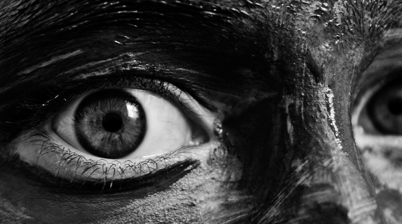 Paint, eyesight, Teenager, canon, portrait, Nose, iris - eye, looking, camouflage, eyeball, Interesting, Photographer, animal body part, animal eye, blackandwhite