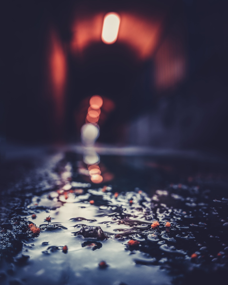 food, road, bokeh, nature, selective focus, 5K, metal, still life, focus on foreground, city, illuminated, street, freshness, tunnel, untitled, indoors