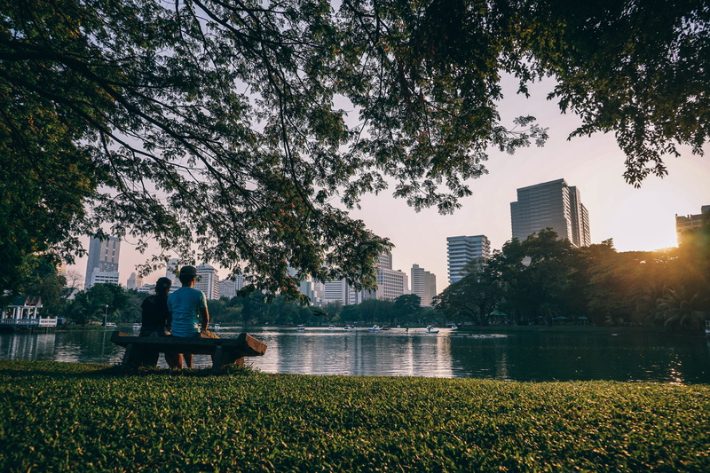 nature, office building exterior, sunglare, sunlight, togetherness, sit, tree, growth, tranquil, skyscraper, park - man made space, park, water, couple