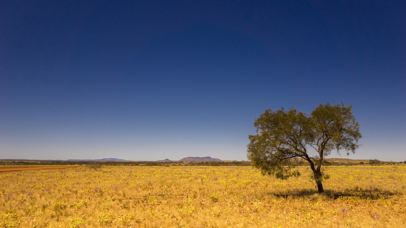 scenics - nature, 5K, semi-arid, west lyons river, tranquility, nature, plant, climate, blue, day, field, outback, outdoors, australia, rural scene, tree