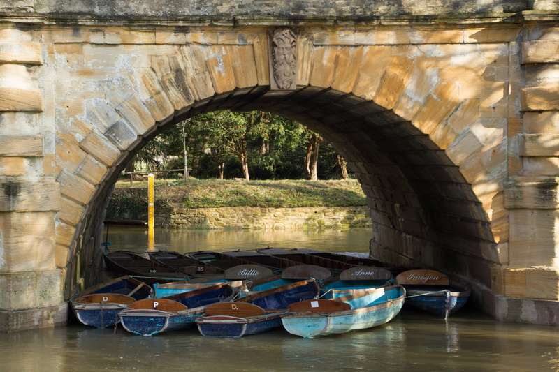 arched, arch bridge, magdalen, no people, rowboat, water, outdoors, day, river cherwell, 5K, boating, nature, waterfront, mode of transportation, magdalen bridge