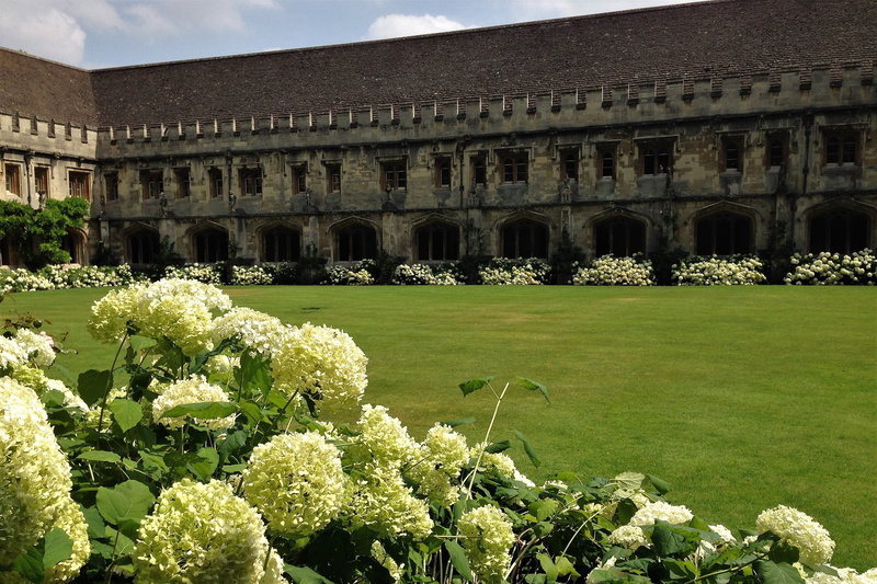 oxfordshire, formal garden, the past, building exterior, college, built structure, university, architecture, lawn, building, historic, growth, architectural column