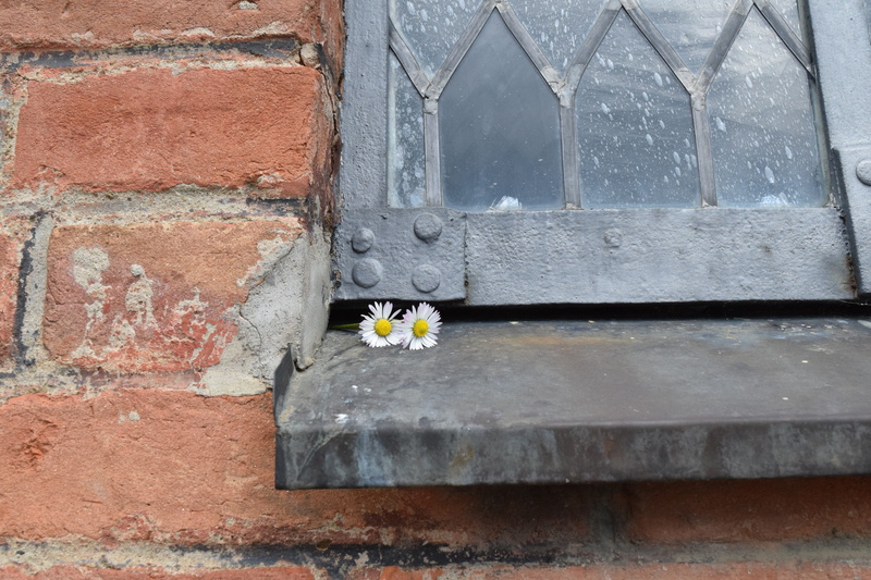 lead-glass window, built structure, tradition, building, nature, yellow, plant, fragility, romantic, vulnerability, moment, brick, brick wall, flowering plant