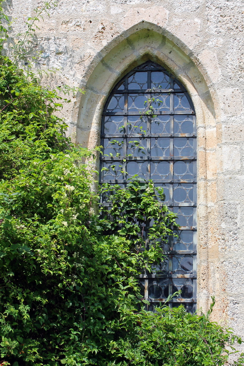 metal, built structure, no people, arch, pointed arch, sunlight, nature, architecture, old, abandoned, tree, day, nostalgia, wall, plant, building, church window