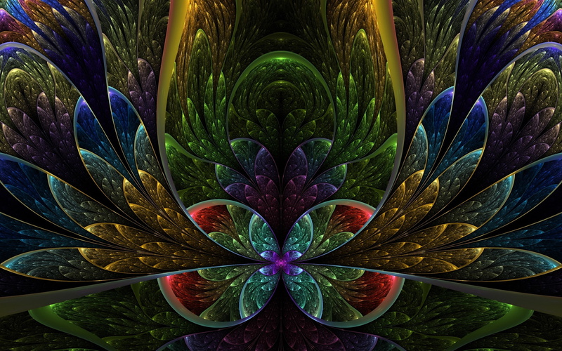 petals, leads, fractals, glass, semicircle, colorful, 2K