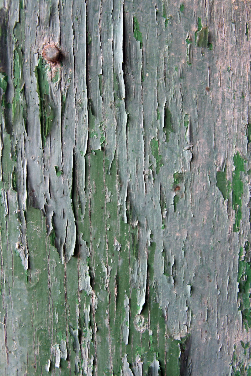 tree trunk, macro, peel, textured, plank, tree, wood - Material, no people, antique, weathered, 4K, vintage, surface, moss, abstract, green color, grungy