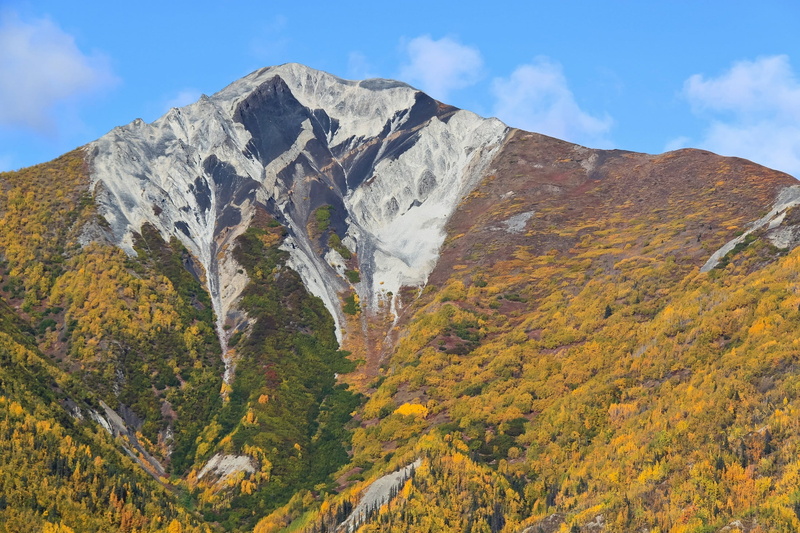 wrangell–st elias, mountain, tree, trees, beauty in nature, wilderness, no people, usa, national park and preserve, panorama, mountain range, tranquility