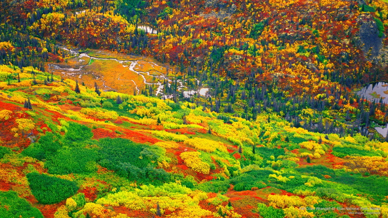 color, elias, park, alaska, st, Fall, national, wrangell, 2K