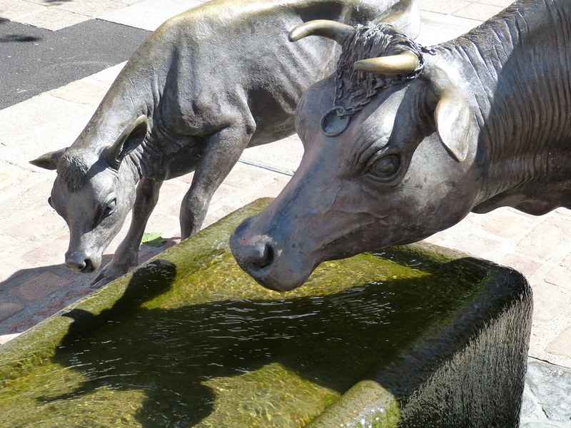 cow, animal, horns, Jersey, representation, St Helier, nature, calf, art and craft, herbivorous, no people, vertebrate, sunlight, drink, island of jersey