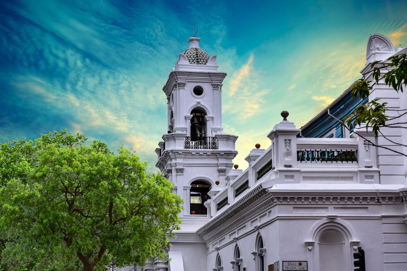 building, ornate, sky, day, cathedral of the immaculate conception, travel, plant, tree, belief, place of worship, no people, tower, nature, building exterior