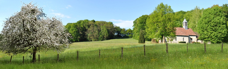 field, building, springtime, environment, plant, scenics - nature, tree, 2K, land, architecture, landscape, chapelle saint-brice, alsace, grass, panoramic