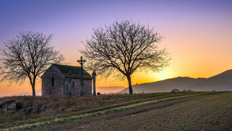 field, 1080P, Ville, Chapelle Saint Jean, sunlight, La, Dambach, France, landscape
