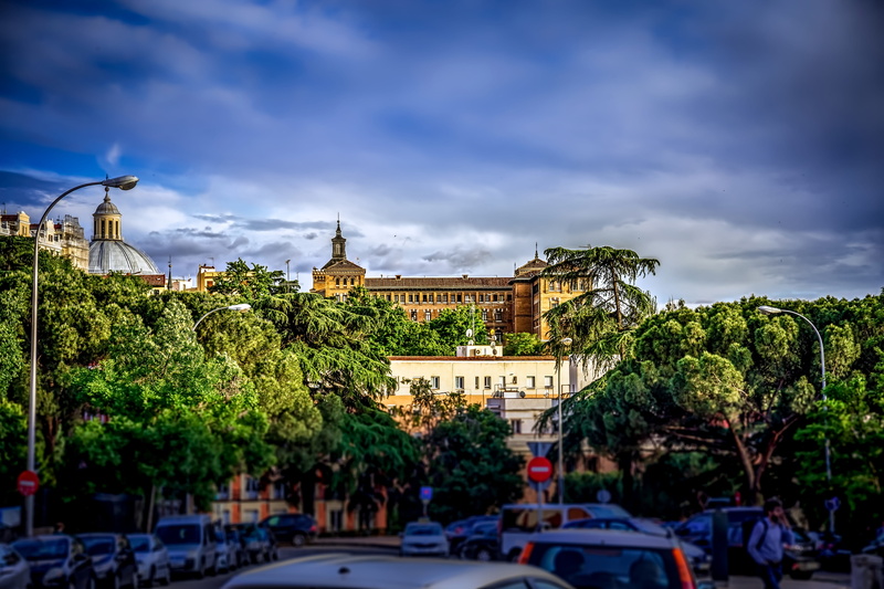 plant, tree, madrid, travel destinations, san dámaso, science, spire, street, travel, cloud - sky, land vehicle, lessons, theology, government, built structure
