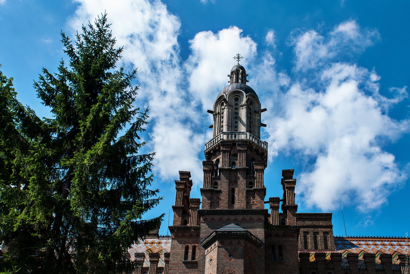 built Structure, saint, travel, plant, representation, travel Destinations, brown, no people, cathedral, religion, chernivtsi, church, building, low angle view