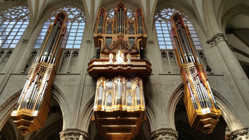 no people, spirituality, Cathedral, belief, indoors, Brussels, place of worship, ceiling, architectural column, religion, st michael, built structure, cathedral of st michael st gudula