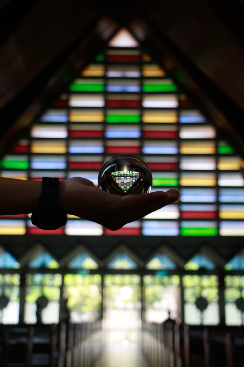 singapore, shelf, selective focus, publication, 4K, pattern, blessed sacrament church, ceiling, book, bookshelf, education, no people, large group of objects