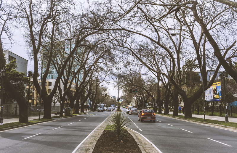 day, car, chile, dividing line, viña del mar, mode of transportation, treelined, city, outdoors, symbol, no people, photo, direction, cars, diminishing perspective