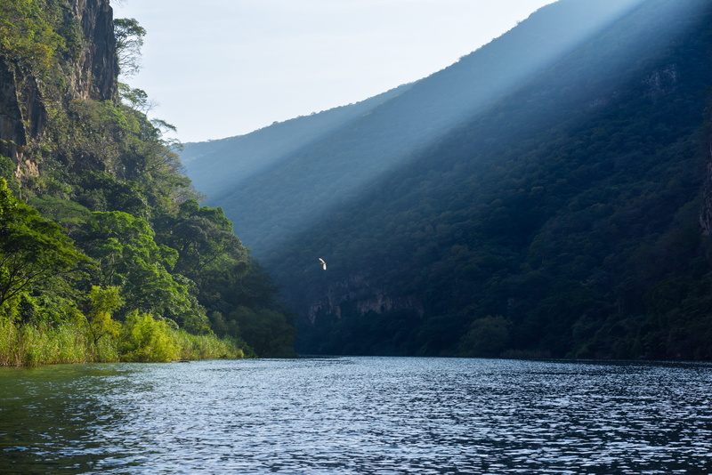 trees, 5K, mountain range, idyllic, plant, lake, day, outdoors, canyon, no people, non-urban scene, tranquility, tranquil scene, scenics - nature, grijalva river