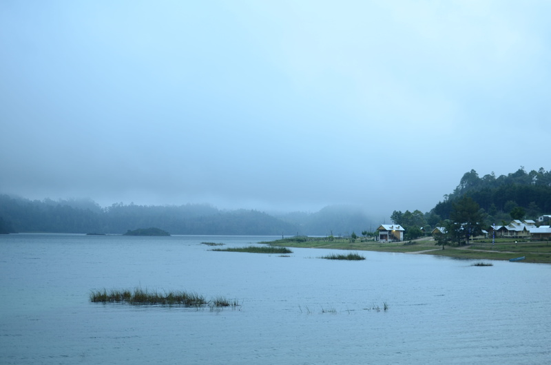waterfront, grass, water, mexico, 4K, tranquil scene, shoreline, coast, canal, tranquility, day, chiapas, river, beauty in nature, no people, land, fog
